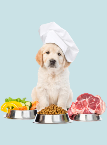 nutrition counselling